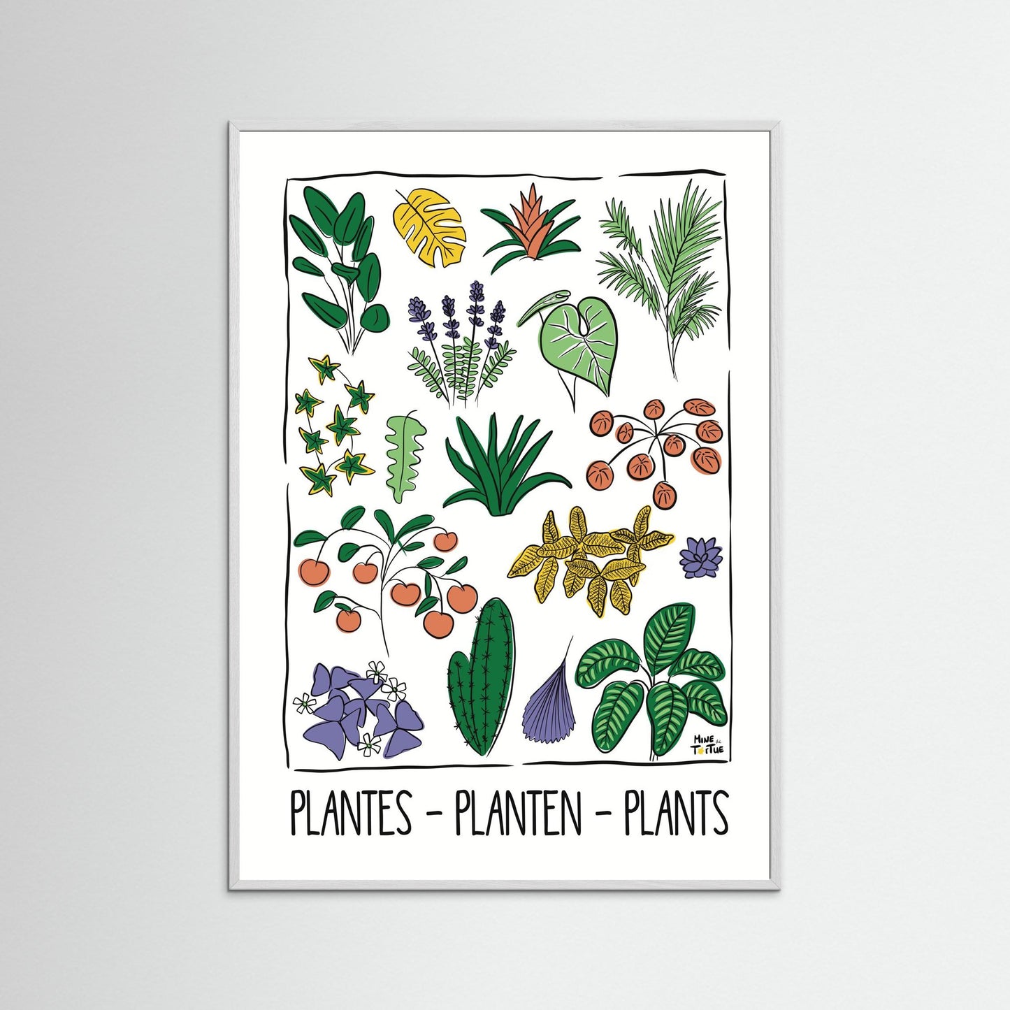 Poster ‘Plantes’ 