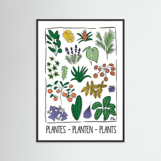 Poster ‘Plantes’ 