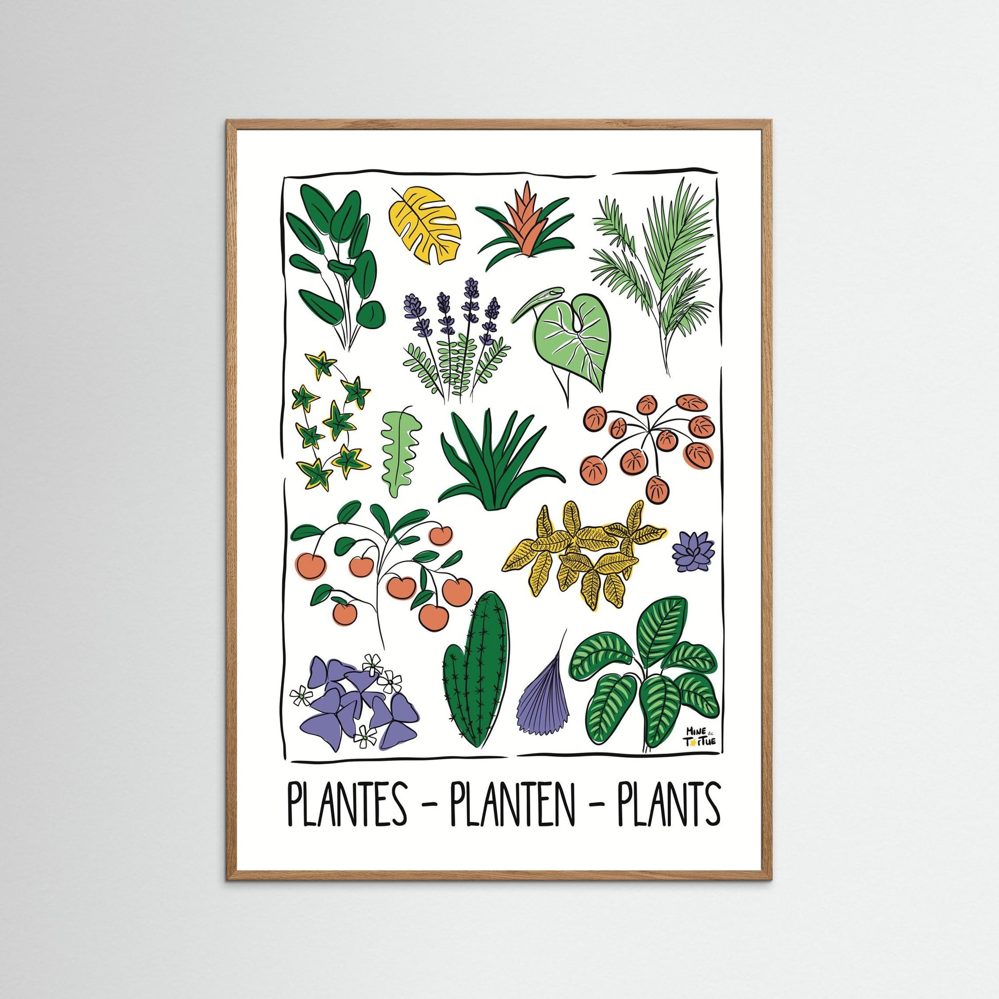 Poster ‘Plantes’ 
